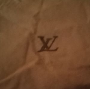 Louis Vuitton Bag